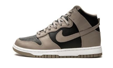 Nike Dunk High Moon Fossil authentique