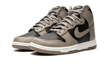 Nike Dunk High Moon Fossil - vue 2
