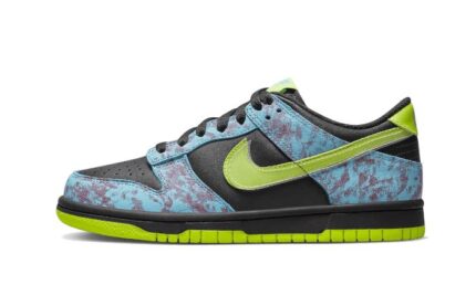 Nike Dunk Low Acid Wash authentique