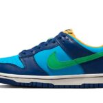 Nike Dunk Low All Star 2023 authentique