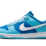 Nike Dunk Low Argon authentique