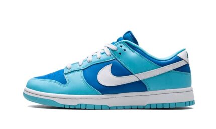 Nike Dunk Low Argon authentique