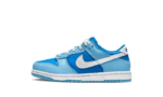 Nike Dunk Low Argon Enfant (PS) authentique