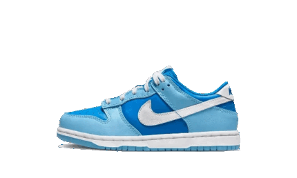 Nike Dunk Low Argon Enfant (PS) authentique