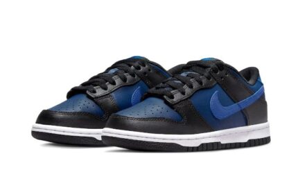 Nike Dunk Low Black Navy - vue 2