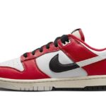 Nike Dunk Low Chicago Split authentique