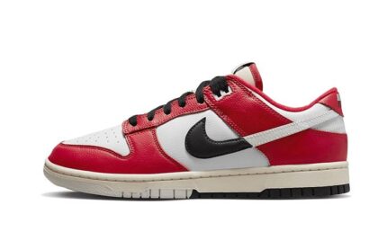 Nike Dunk Low Chicago Split authentique