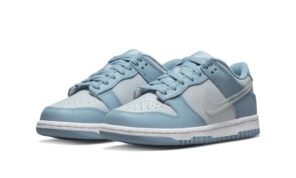 Nike Dunk Low Clear Swoosh - vue 2