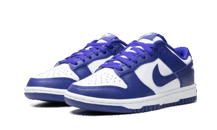 Nike Dunk Low Concord - vue 2