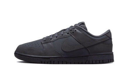 Nike Dunk Low Cyber Reflective authentique