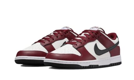 Nike Dunk Low Dark Team Red Black - vue 2