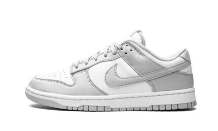 Nike Dunk Low Grey Fog authentique