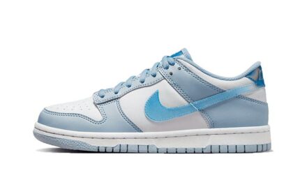 Nike Dunk Low Hologram authentique