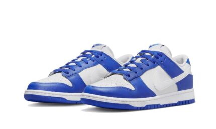 Nike Dunk Low Kentucky Alternate - vue 2