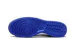 Nike Dunk Low Kentucky Alternate - vue 3