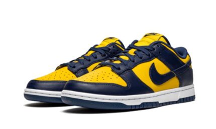 Nike Dunk Low Michigan - vue 2