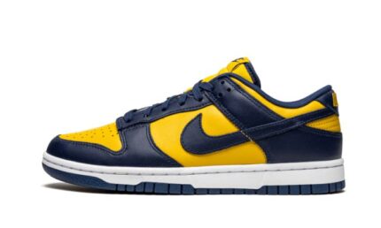 Nike Dunk Low Michigan authentique