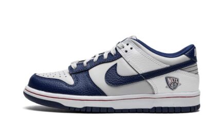 Nike Dunk Low NBA 75th Anniversary Brooklyn Nets authentique