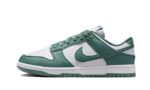 Nike Dunk Low Next Nature Bicoastal authentique