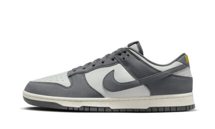Nike Dunk Low Next Nature Iron Grey Lightning authentique