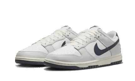 Nike Dunk Low Next Nature Photon Dust - vue 2