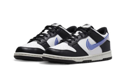 Nike Dunk Low Next Nature TPU Swoosh - vue 2