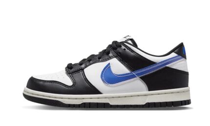 Nike Dunk Low Next Nature TPU Swoosh authentique