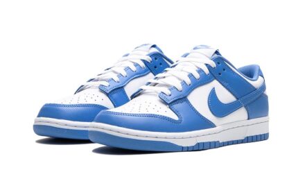 Nike Dunk Low Polar Blue - vue 2