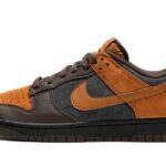 Nike Dunk Low PRM Cider authentique