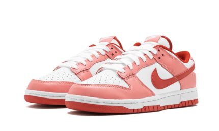Nike Dunk Low Red Stardust - vue 2