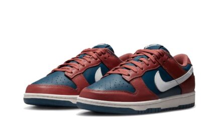 Nike Dunk Low Retro Canyon Rust - vue 2