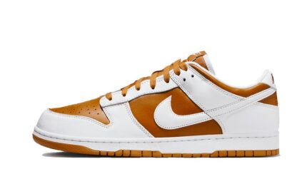 Nike Dunk Low Reverse Curry authentique