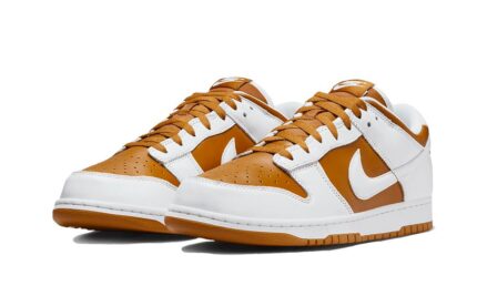 Nike Dunk Low Reverse Curry - vue 2