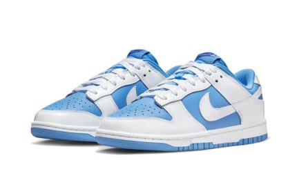 Nike Dunk Low Reverse UNC - vue 2