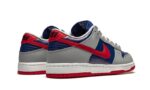 Nike Dunk Low Samba (2020) - vue 3