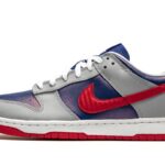 Nike Dunk Low Samba (2020) authentique