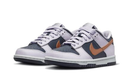 Nike Dunk Low SE Copper Swoosh - vue 2