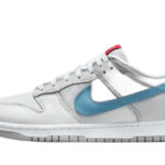 Nike Dunk Low Silver Surfer (2024) authentique