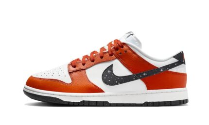 Nike Dunk Low Starry Swoosh authentique