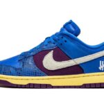 Nike Dunk Low Undefeated 5 On It authentique