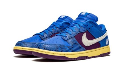 Nike Dunk Low Undefeated 5 On It - vue 2