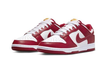 Nike Dunk Low USC - vue 2