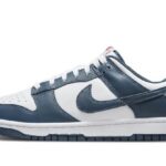 Nike Dunk Low Valerian Blue authentique