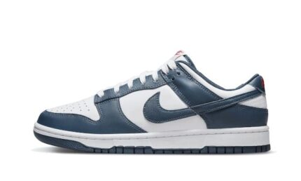 Nike Dunk Low Valerian Blue authentique