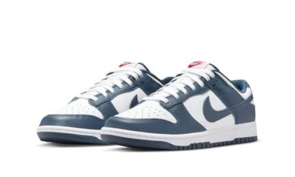 Nike Dunk Low Valerian Blue - vue 2