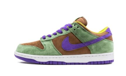 Nike Dunk Low Veneer (2020) authentique