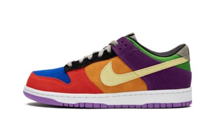 Nike Dunk Low Viotech authentique