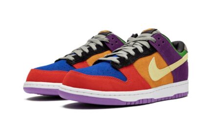 Nike Dunk Low Viotech - vue 2