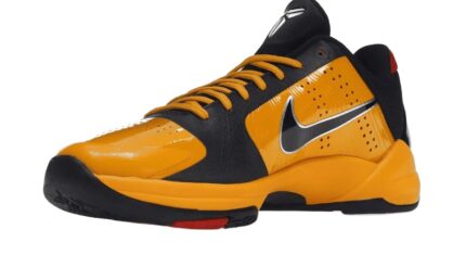 Nike Kobe 5 Protro Bruce Lee - vue 2