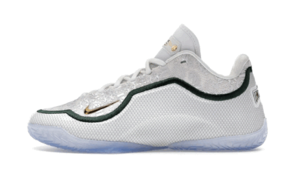 Nike LeBron 23 From This Point Forward authentique